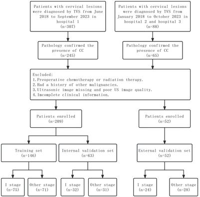 An interpretable clinical ultrasound-radiomics combined model for diagnosis of stage I cervical cancer